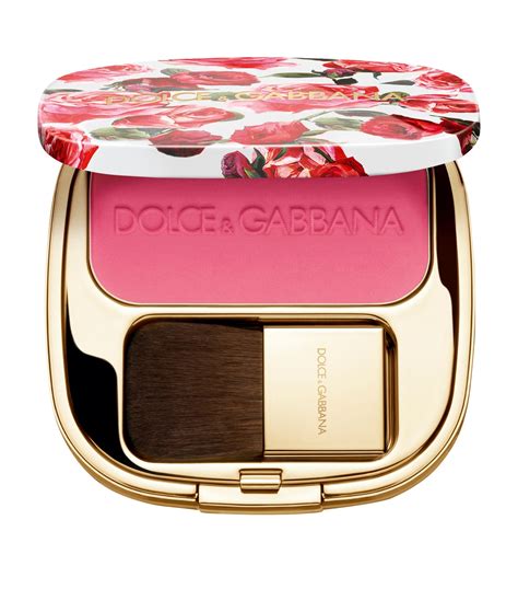 dolce gabbana rose rosse|dolce gabbana rose blush.